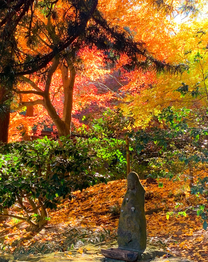 歳時記 | 臨済宗円覚寺派 浄智寺
